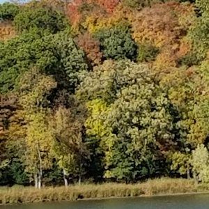 Meet your Posher, Brent